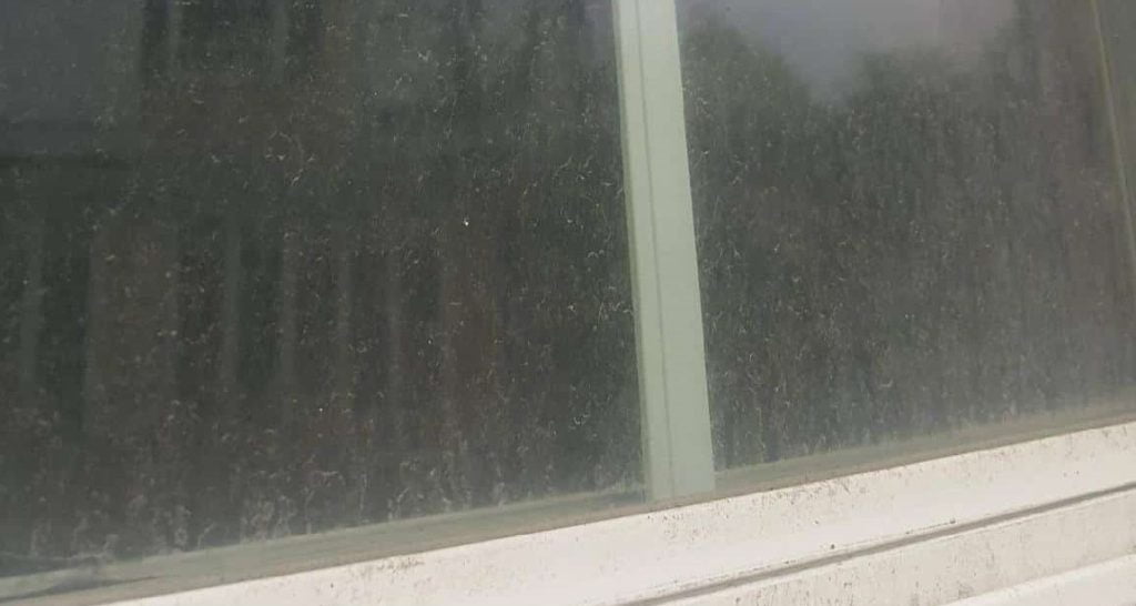 removing hard water stains from exterior windows